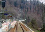 Mit der S41 das Murgtal hinunter -    Von 1915 bis 1928 war Raumünzach der obere Endpunkt der Murgtalbahn von badischer Seite her.