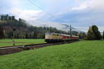 Smartrail 111 223-4 zieht am 16.10.2022 den letzten Murgtäler Freizeitexpress von Ludwigshafen(Rh)Hbf nach Baiersbronn.
