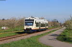 VT 517 als SWE71708 (Achern-Ottenhöfen) bei Oberachern 14.4.21