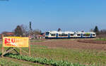 VT 515  Vogtsburg  und VT 515  E-Werk Mittelbaden  als SWE 87367 (Bad Griesbach - Hornberg) bei Appenweier 8.3.24