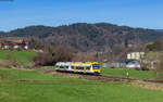 VT 521 und VT 506 als SWE 87376 (Hausach - Bad Griesbach) bei Oppenau 8.3.24