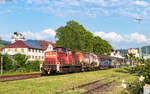 294 583 rangiert im Bahnhof Oberkirch 26.5.26