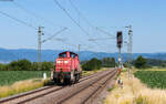 294 863 als T ??? (Offenburg Gbf - Kehl) bei Legelshurst 17.6.25