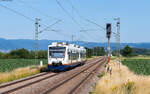 VT 513 und VT 509 SWEG als SWE 87446 (Offenburg - Strasbourg) bei Legelshurst 17.6.25
