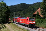 146 221-7  25 Jahre RAB  mit dem RE 4731 (Karlsruhe Hbf-Konstanz) bei Gutach 28.6.19