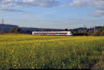 Durch das Rapsfeld:  Ein RABe 521 (Stadler FLIRT) der SBB GmbH (SBB) als SBB87703  Seehas  von Engen nach Konstanz fährt bei Abendsonne in Engen-Welschingen auf der Bahnstrecke