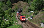 146 239-9  Vogtsbauernhof  mit dem RE 4725 (Karlsruhe Hbf-Konstanz) bei Nußbach 19.5.20