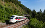 411 018  Plauen  als ICE 1579 (Frankfurt Hbf - Konstanz) bei Seelenwald 13.6.25