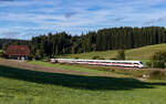 4011 091  Salzburg  als ICE 1578  Schwarzwald  (Konstanz - Hamburg Altona) bei Stockburg 6.9.25