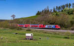146 237  Karlsruhe / 1200 Jahre Radolfzell  mit dem  RE 4727 (Karlsruhe Hbf - Konstanz) bei Stockburg 29.4.26