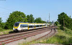 3442 206 und 3442 201 als RE 17696 (Konstanz - Stuttgart Hbf) im Bahnhof Welschingen 24.5.26