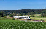 605 019 als Mess ST 92910 (Singen - Ottersweier) bei Aufen 18.6.26
