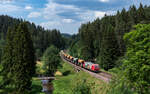 145 016 mit dem DGS 91201 (Friesenheim - Villingen) im Groppertal 23.6.26