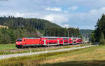 146 202 mit dem RE 4717 (Karlsruhe Hbf - Konstanz) im Groppertal 1.8.26