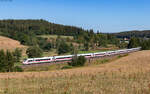 412 088  W�rzburg  als ICE 2551 (Karlsruhe Hbf - Singen) bei Stockburg 8.8.26
