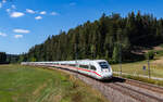 412 084 als ICE 2559 (Berlin Hbf - Z�rich HB) im Groppertal 8.8.26