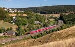 RE 4734 (Konstanz - Karlsruhe Hbf) geschoben von 146 239  Richtung Heimat  bei Sommerau 8.8.26
