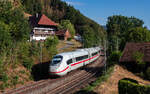 407 001 als ICE 903  Schwarzwald  (Konstanz - K�ln Bbf) bei Gutach 9.8.26