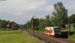 VT 250 als HzL 88125 (Brunlingen Bahnhof-Immendingen) bei Klengen 2.6.12