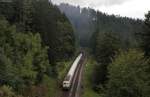 111 001-4 mit dem TEE 91341 (St.Georgen(Schwarzw)-Hausach) am Dreibahnenblick 13.9.14