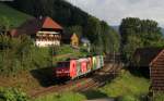 146 236-5  Triberg/Schwarzwaldbahnerlebnispfad  und Re 485 004 als Tfzf 72116 (Triberg-Offenburg) bei Gutach 14.9.14