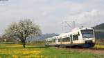 VT 528  Hansgrohe Ausbildungszentrum  und VT 514 als OSB87382  (Freudenstadt Hbf-Bad Griesbach(Schwarzwald)) bei Hausach 6.4.14