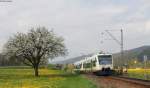 VT 524 und VT 522 als OSB87381 (Offenburg-Freudenstadt Hbf) bei Hausach 6.4.14