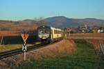 Der VT 129, der VT 128 und der altlackierte Steuerwagen 926 204-8 waren am 14.12.16 einmal wieder zusammen auf der westlichen Kaiserstuhlbahn unterwegs. Hier konnte die Garnitur kurz hinter Oberrotweil aufgenommen werden.