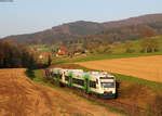 VT 008 und VT 013 als SWE88439 (Elzach-Freiburg(Brsg)Hbf) bei Oberwinden 15.4.19