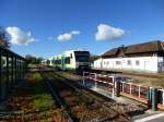 Breisgau S-Bahn bei der Einfahrt in den Bahnhof Gottenheim, Okt.2013