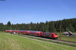 146 229-0  Europapark Rust  mit der RB 17265 (Freiburg(Brsg)Hbf-Seebrugg) bei Hinterzarten 24.6.19