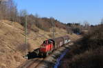 294 876-8 mit dem EZK 55301 (Villingen(Schwarzw) - Neustadt(Schwarzw) bei Döggingen 28.2.22