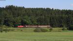 294 616-8 mit dem EK 55838 (Neustadt(Schwarzw)-Villingen(Schwarzw)) bei Hausen vor Wald 1.7.13