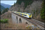 Zwei  bwgte  Grinsekatzen (1440 676 & eine weitere) am 28.02.2026 auf dem Ravennaviadukt im Höllental (Schwarzwald).