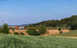 248 086 mit einer Rangierfahrt bei D�ggingen 19.7.26