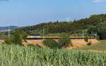 232 446 / V300.18 mit einer Rangierfahrt bei D�ggingen 19.7.26