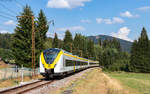 1440 181 und 1440 176 als S 9954 / S 9854 (Neustadt (Schwarzw) - Breisach / Endingen) bei Titisee 1.8.26
