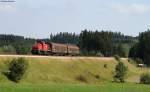 294 883-4 mit dem FZ 55838 (Neustadt(Schwarzw)-Villingen(Schwarzw) bei Hfingen 1.8.11