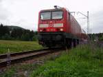 Zur Lupinienblte an die Drei-Seen-Bahn. 143 316-8 verlsst am 24.06.2011 mit der Regionalbahn von Freiburg (Brsg.) nach Seebrugg den Haltepunkt Altglashtten-Falkau.