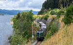139 314 mit der DRB xxxxx (Titisee - Schluchsee) bei Seebrugg 19.7.26