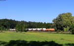 261 300-8 mit dem DGN 91239 (Singen(Htw) - Mengen) bei Stahringen 11.6.22