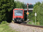 650 203 passiert im Juni 2018 das Einfahrsignal von Salem auf der Fahrt nach Radolfzell