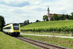 612 129 im Juni 2018 in den Weinbergen von Birnau auf dem Weg von Basel nach Ulm