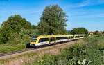 622 466 und 622 320 als RB 17761 (Radolfzell - Friedrichshafen Stadt) bei Birnau 29.5.26