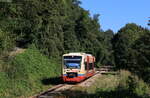 VT 254 als HzL 74434 (Stockach NE-Radolfzell) bei Nenzingen 24.9.21