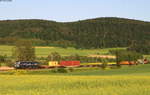 193 875-2  connecting europe  mit dem DGS 69246 (Singen(Htw)-Waltershof Alte Süderelbe) bei Rietheim 4.6.19