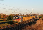 193 876-0  25 Jahre Mauerfall  mit dem Bauz 29796 (Stuttgart Hafen-Rottweil) bei Eutingen 31.10.16