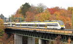 442 210+xxx als RE Rottweil/Freudenstadt-Stuttgart am 30.10.2020 auf dem Nesenbachviadukt in Stuttgart-Vaihingen.