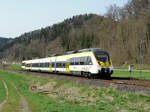 Grünholz - 13.