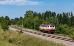 218 105 als Tfzf 25992 (Rottweil - Singen) bei Rottweil 9.8.25